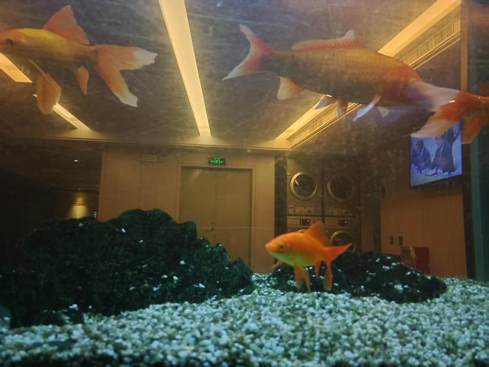 Paco Hotel Tianhe Coach Terminal Metro Satation Guangzhou-Free Shuttle Bus For Canton Fair Kültér fotó